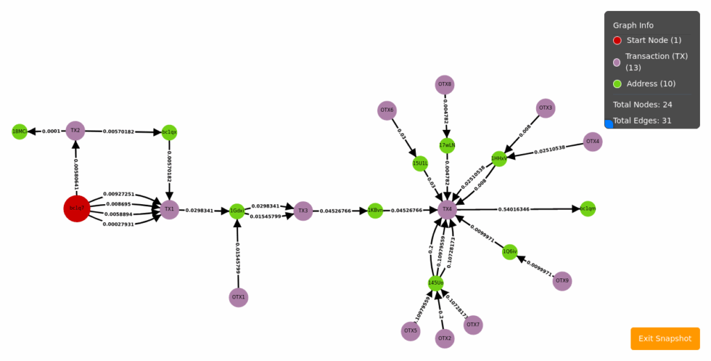 Output trace of the crypto transaction on the blockchain